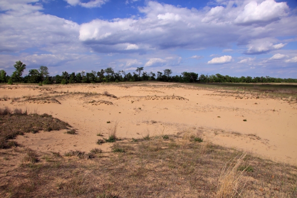 Sand Prairie Conservation Area, Scott Co., Missouri